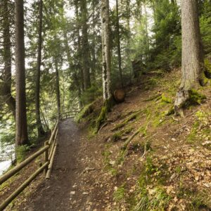 peaceful-piece-nature-daylight